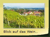 Blick auf das Weingut Elsnegg