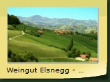 Weingut Elsnegg - suedsteirisches Huegelland