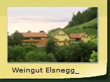 Weingut Elsnegg_